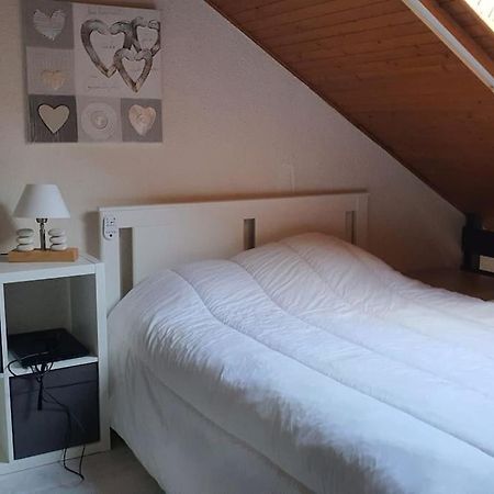 Duplex Cocooning Avec Vue Lac Et Montagnes Savines-le-Lac Buitenkant foto